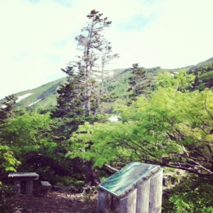 f:id:totetu:20130630185312j:image