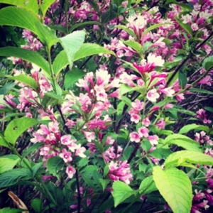 f:id:totetu:20130630185341j:image