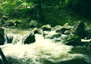 f:id:totetu:20130917042345j:image