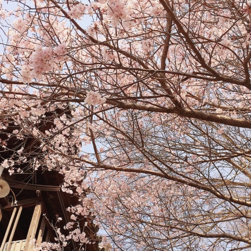 f:id:totetu:20140323154024j:image:w360