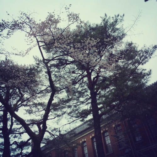 f:id:totetu:20140330145022j:image:w360