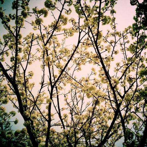 f:id:totetu:20140413120734j:image:w360