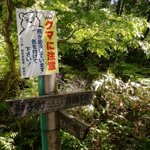 f:id:totetu:20140518145230j:image:w360