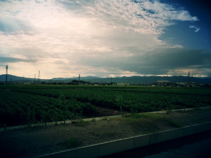 f:id:totetu:20140809152859j:image:w450