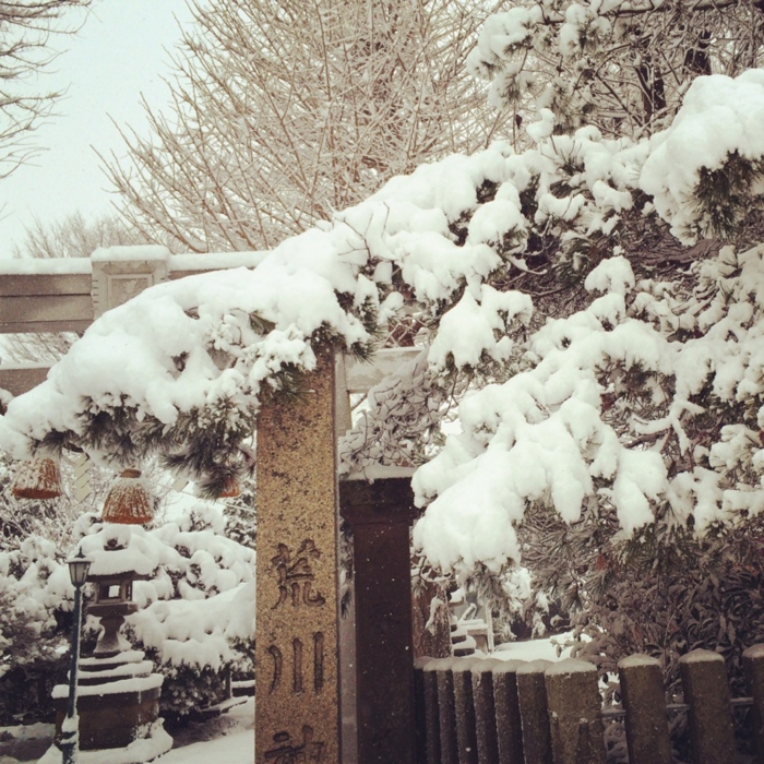 f:id:totetu:20150101144752j:image:w360