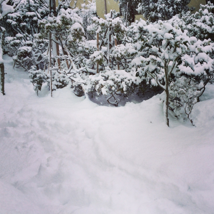 f:id:totetu:20150101144753j:image:w360