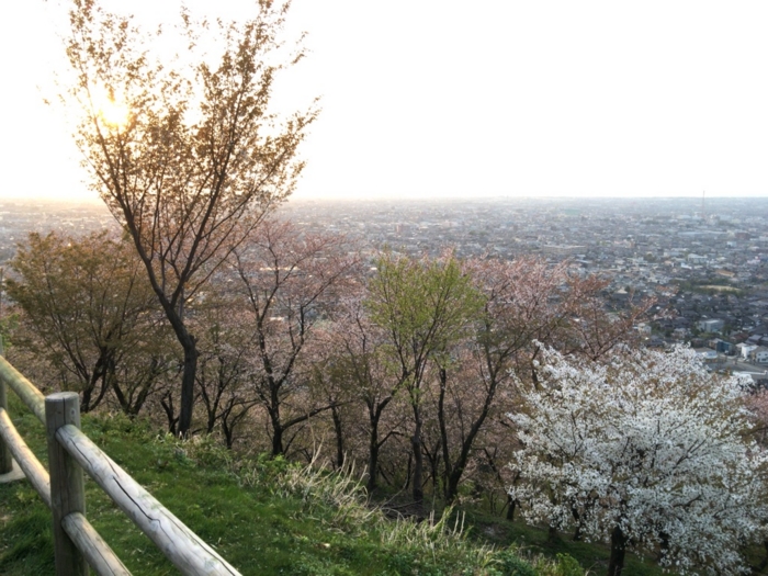 f:id:totetu:20160411123757j:image