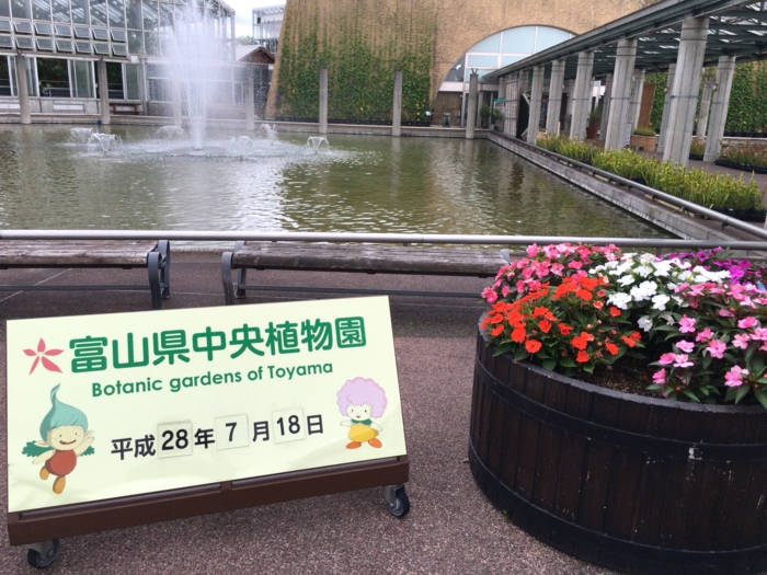 f:id:totetu:20160720192438j:image