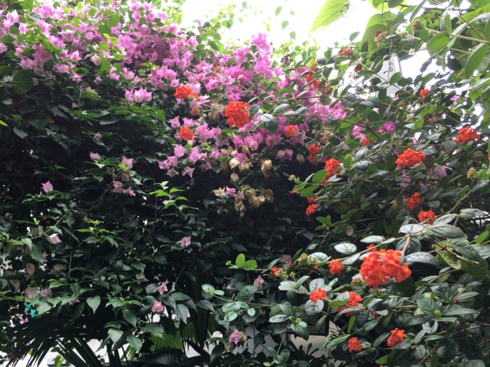 f:id:totetu:20160720192520j:image