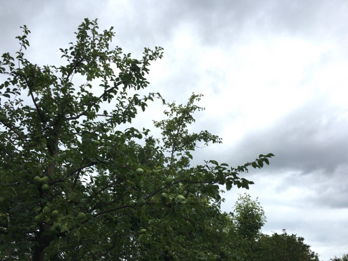 f:id:totetu:20160720192532j:image
