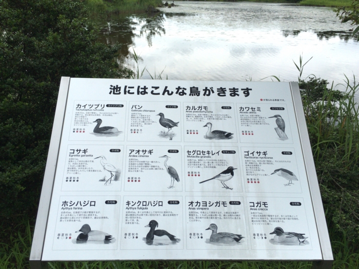 f:id:totetu:20160720192717j:image
