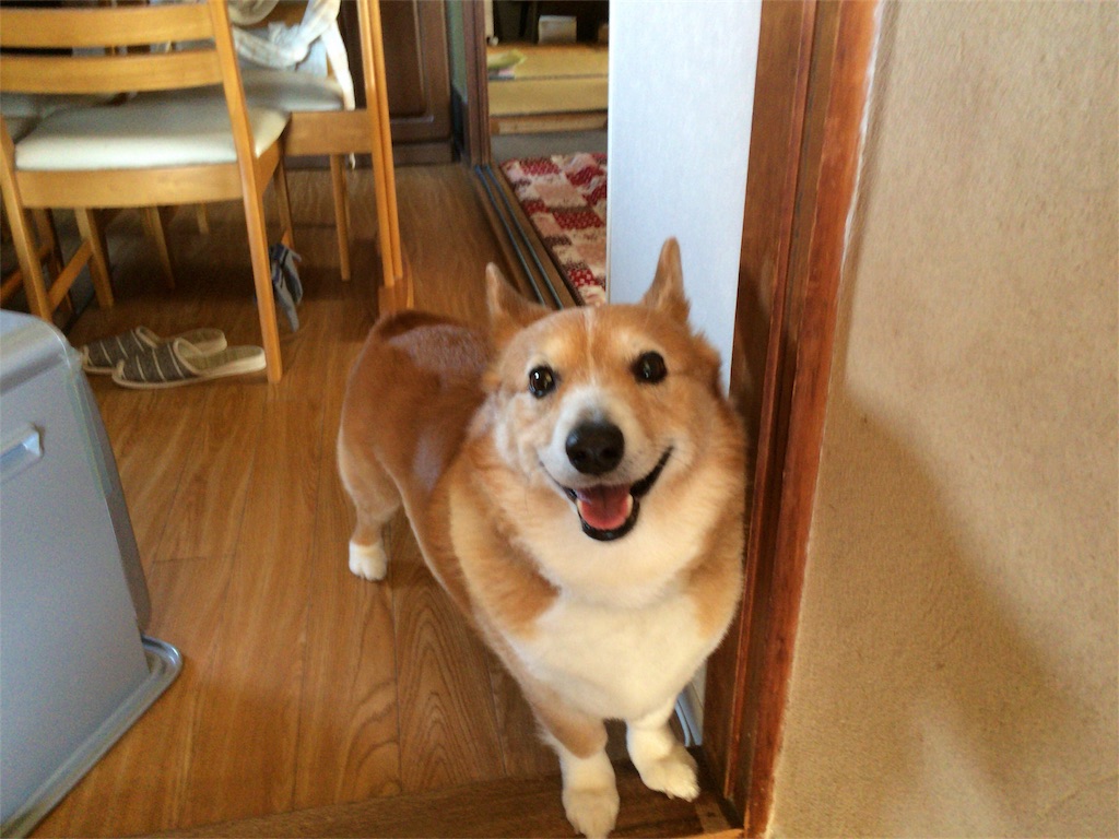 f:id:totetu:20161223055514j:image