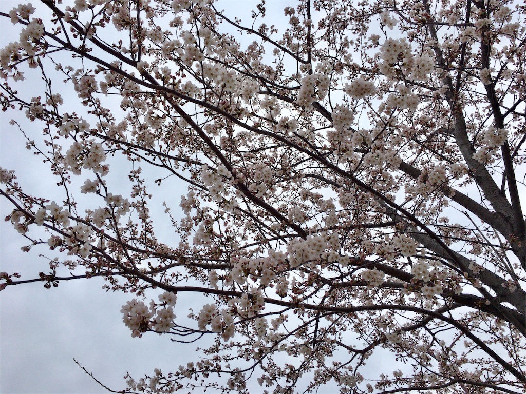 f:id:totetu:20170410190555j:image