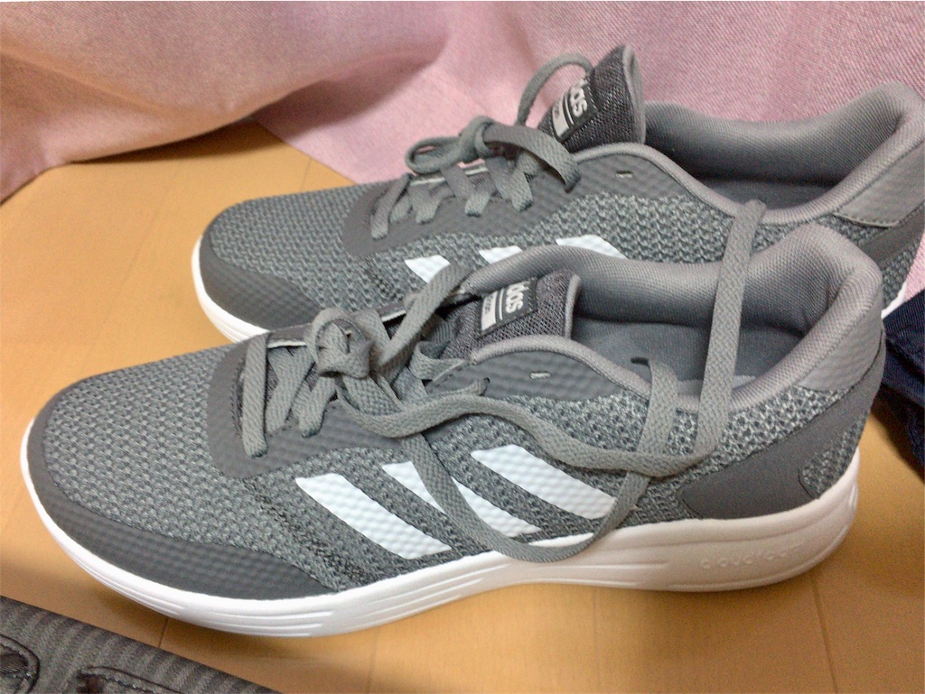 f:id:totetu:20180102184137j:image