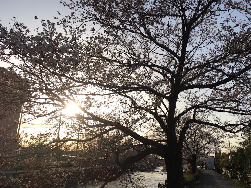 f:id:totetu:20180403190531j:image