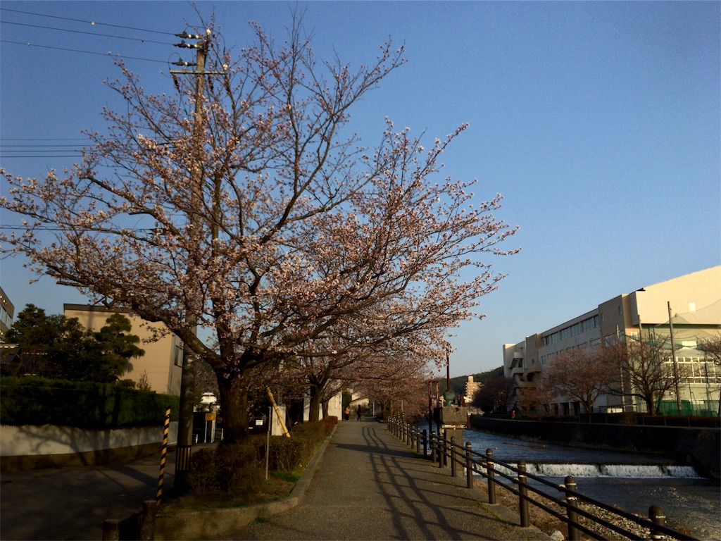 f:id:totetu:20180403190549j:image
