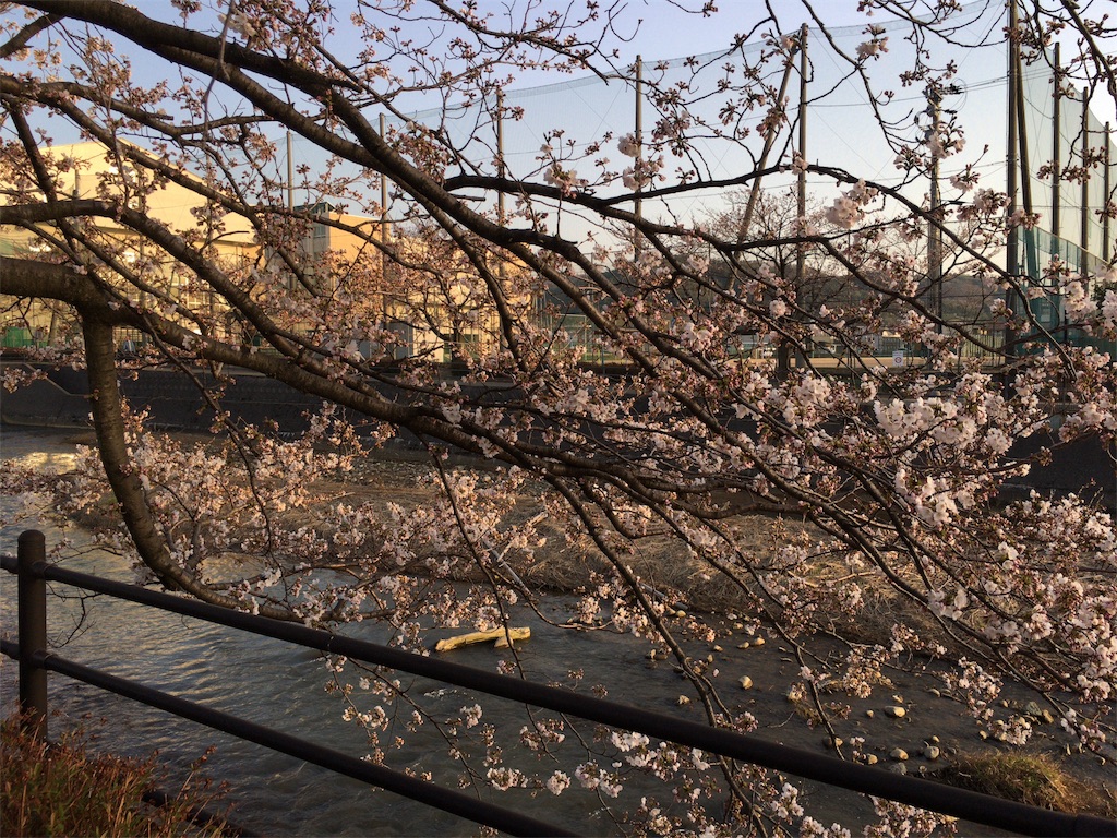 f:id:totetu:20180403190608j:image