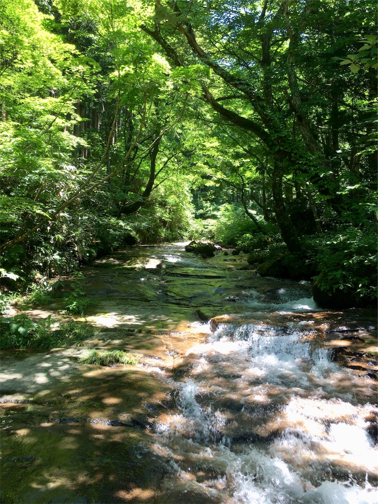 f:id:totetu:20180716184334j:image