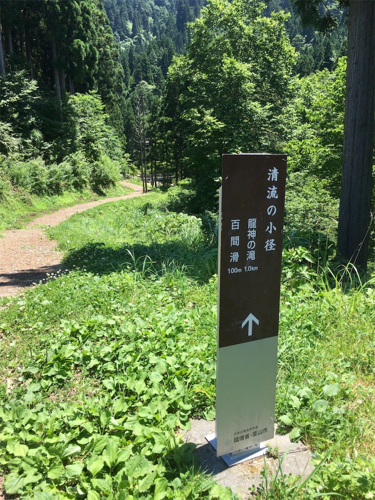 f:id:totetu:20180716184630j:image