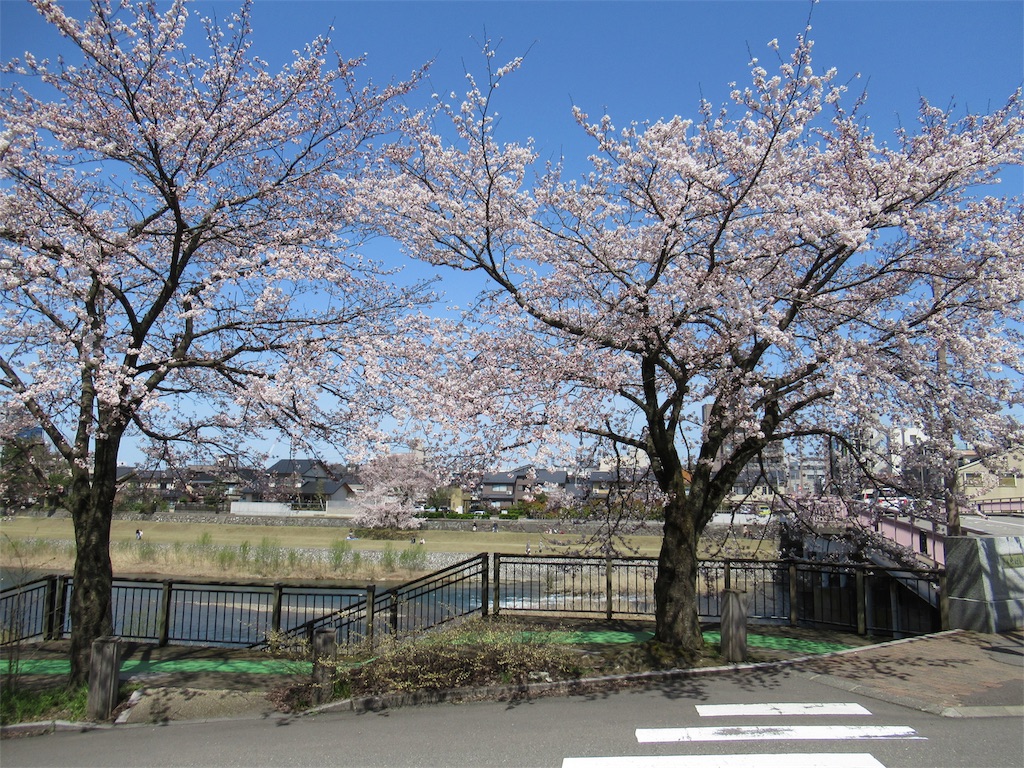 f:id:totetu:20190407124505j:image