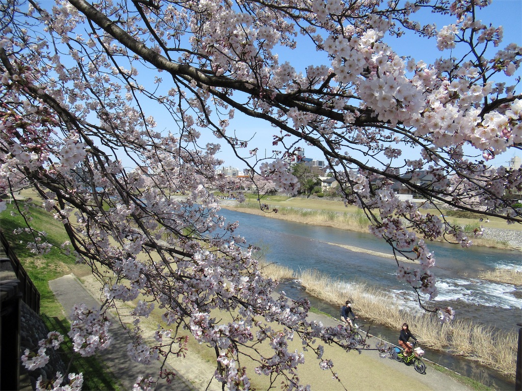 f:id:totetu:20190407124509j:image