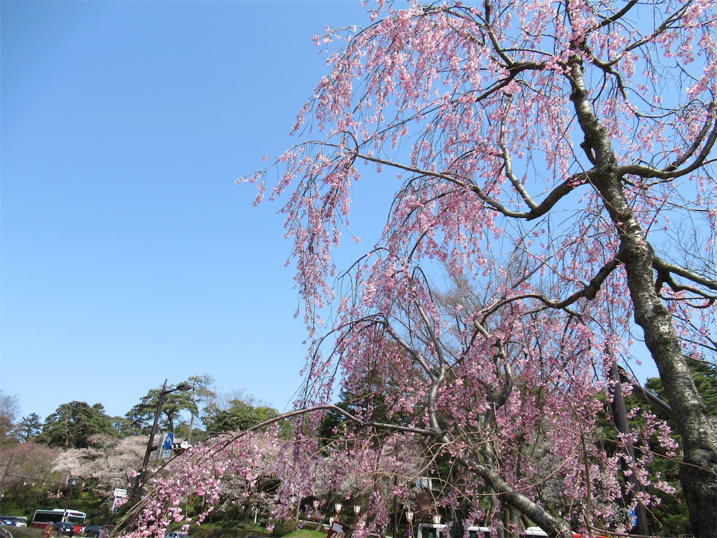 f:id:totetu:20190407124812j:image