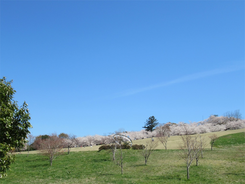 f:id:totetu:20190415194650j:image