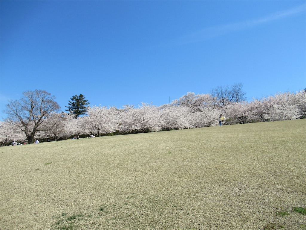 f:id:totetu:20190415194655j:image