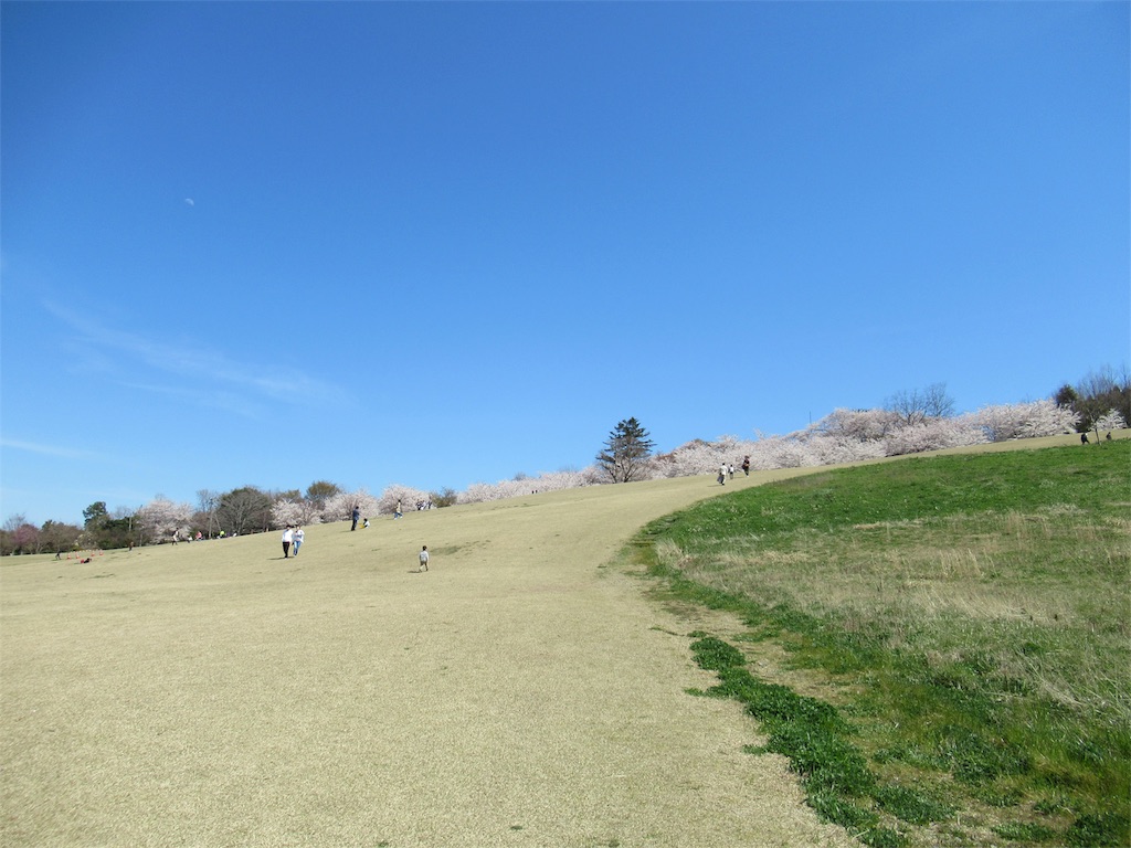 f:id:totetu:20190415194705j:image