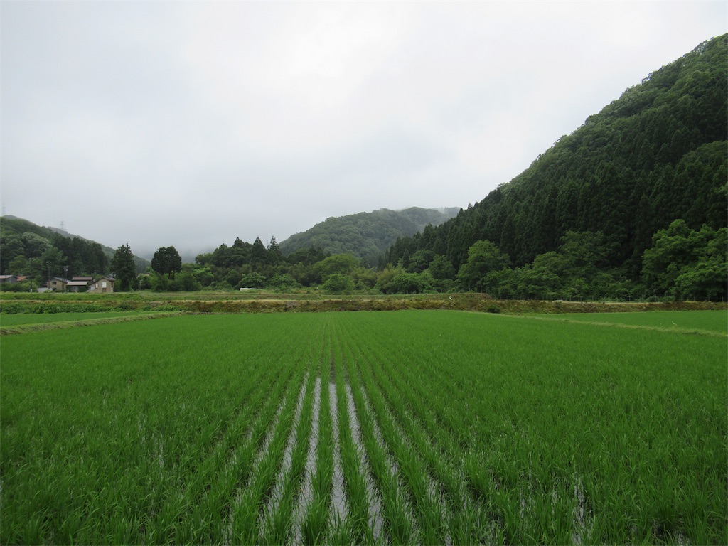 f:id:totetu:20190609174532j:image