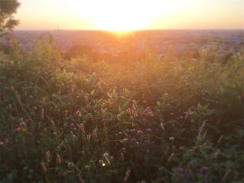 f:id:totetu:20190619195723j:image