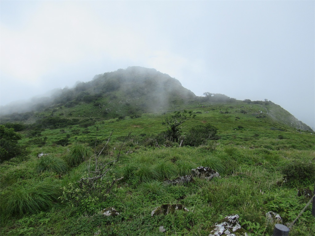 f:id:totetu:20190717202931j:image f:id:totetu:20190717202931j:image