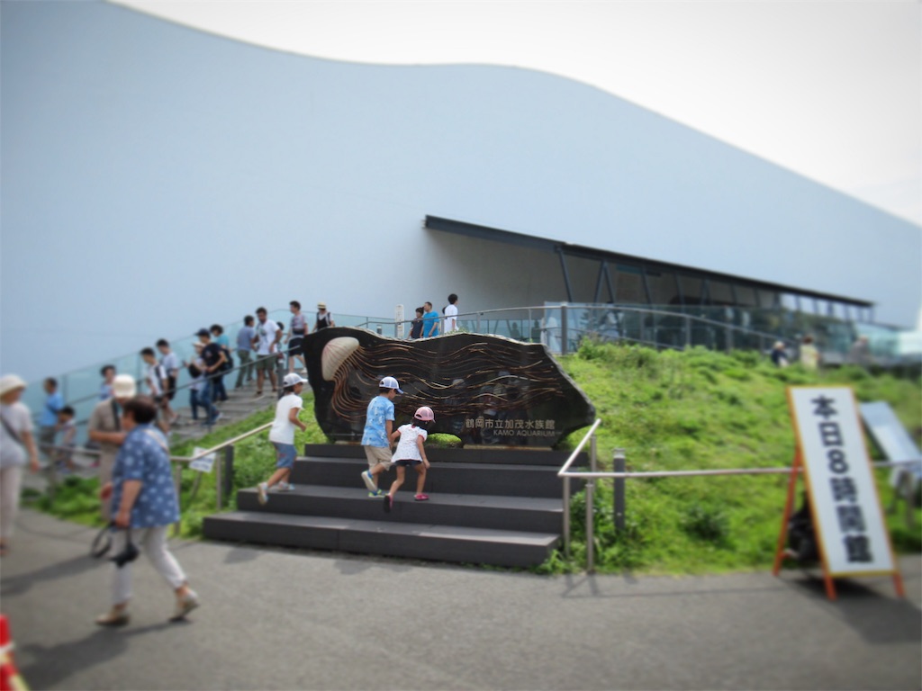 f:id:totetu:20190813092918j:image