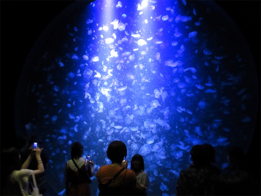 f:id:totetu:20190815154647j:image
