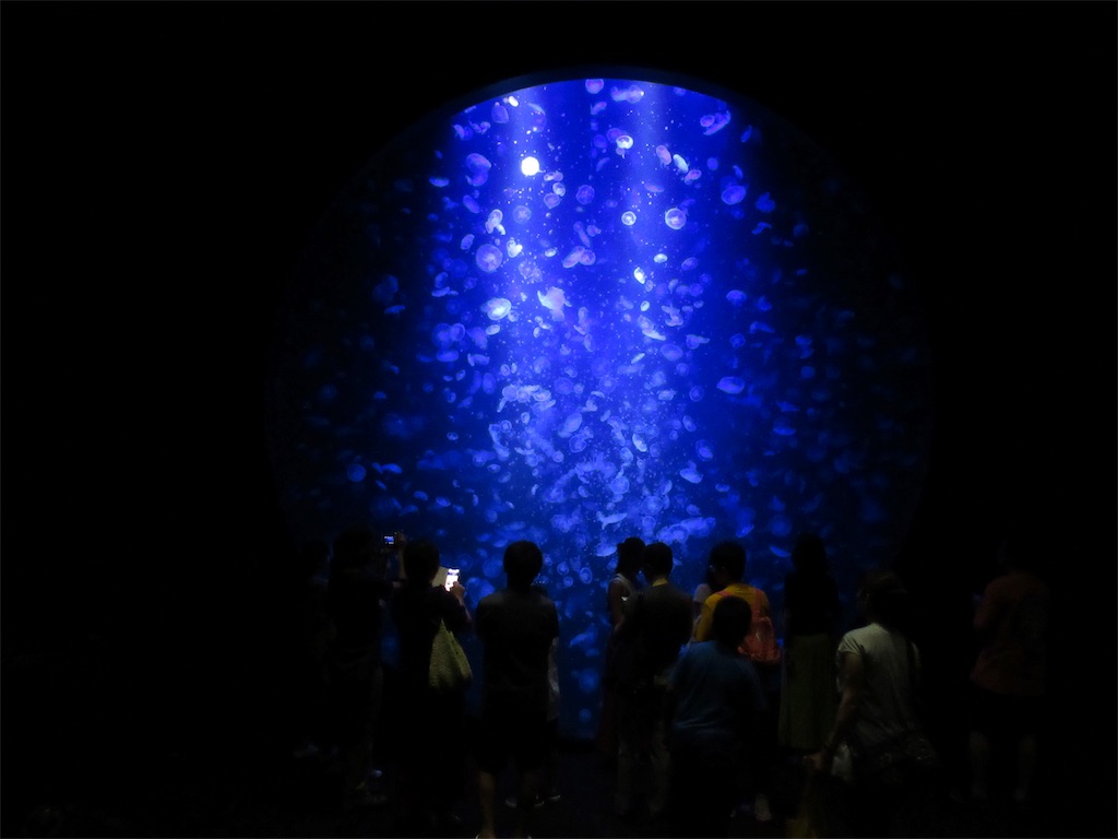 f:id:totetu:20190815154652j:image