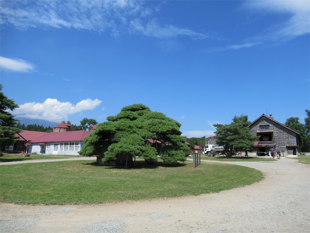 f:id:totetu:20190816171348j:image