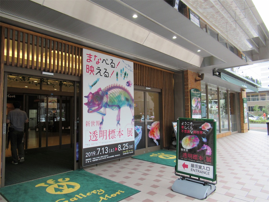 f:id:totetu:20190820194256j:image