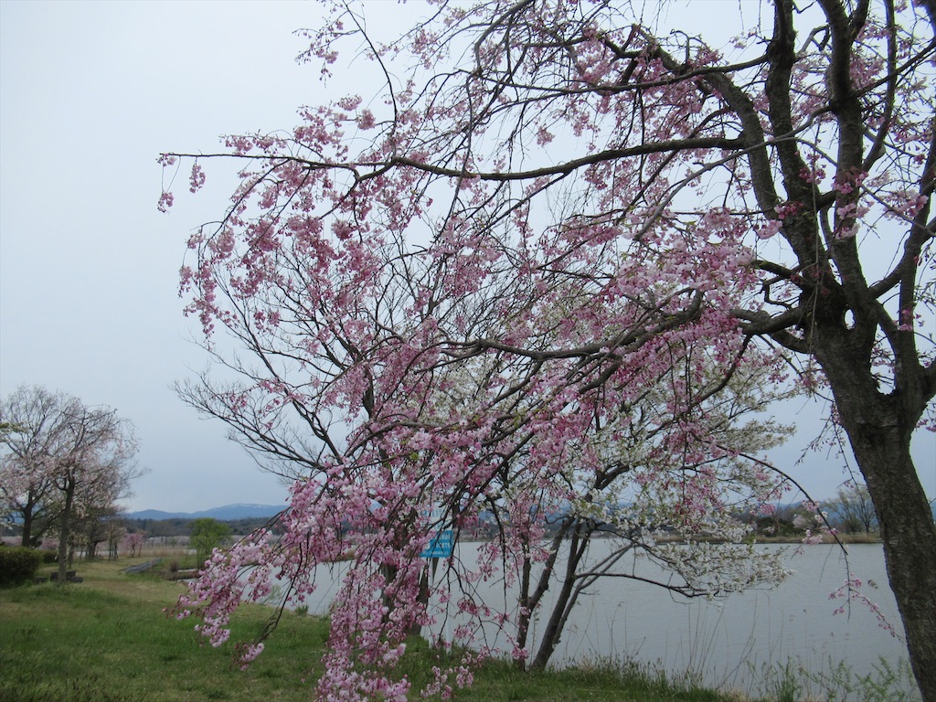 f:id:totetu:20200412205447j:image f:id:totetu:20200412205447j:image