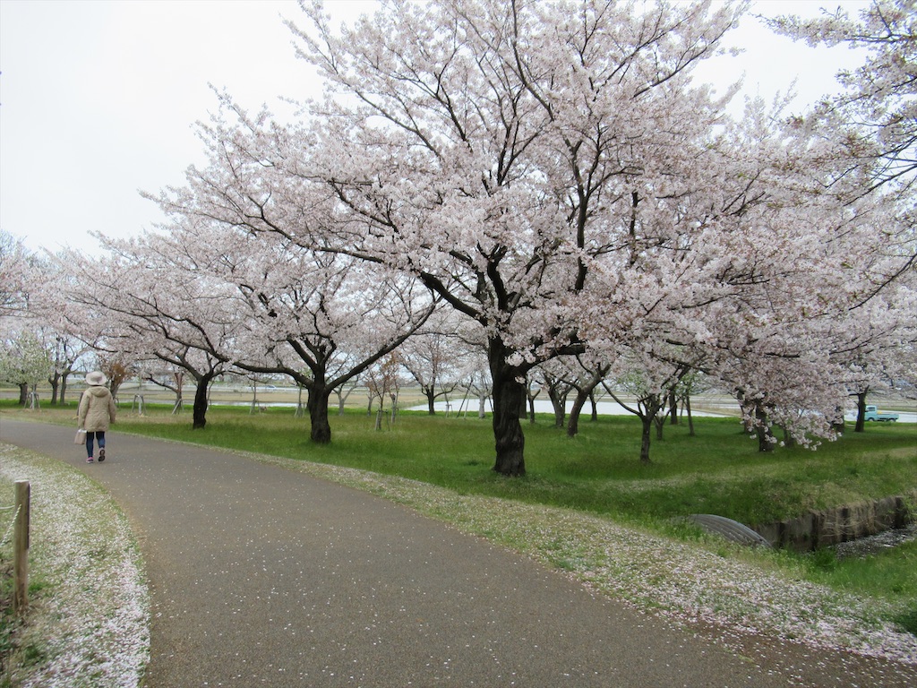 f:id:totetu:20200412205511j:image f:id:totetu:20200412205511j:image