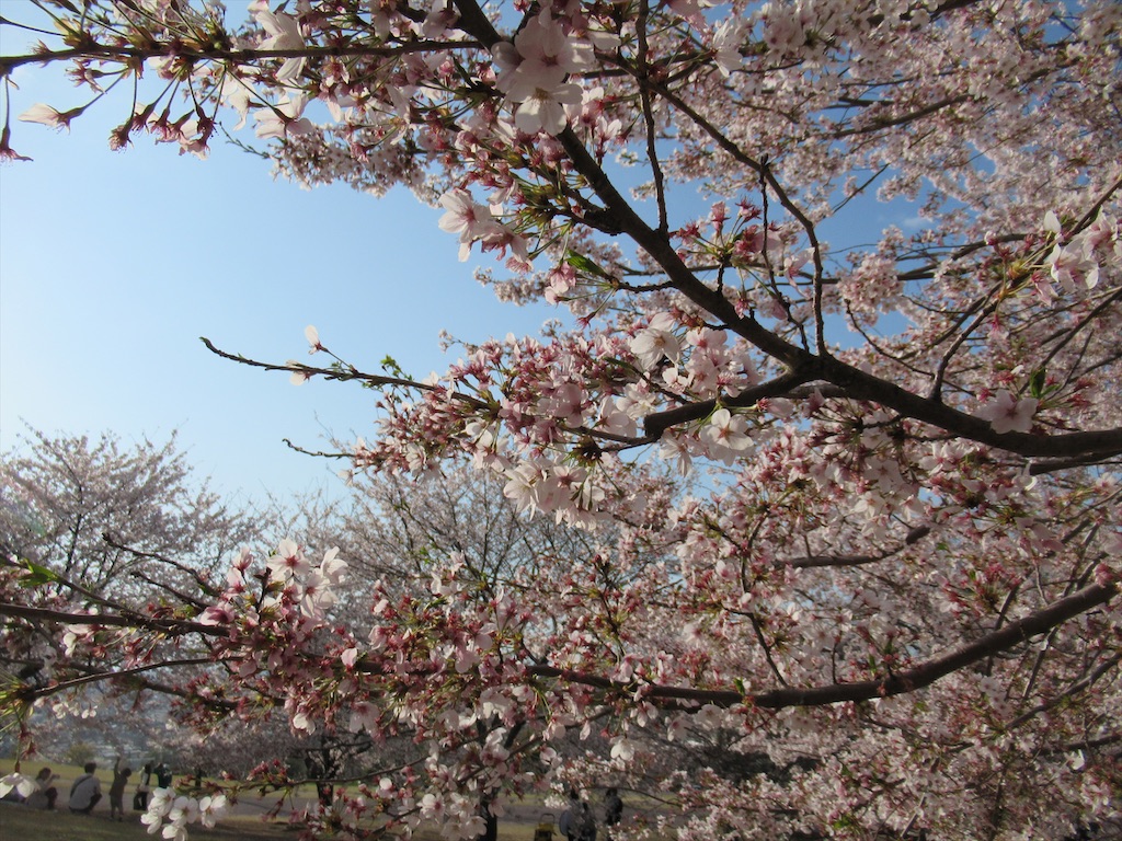 f:id:totetu:20210403194721j:image