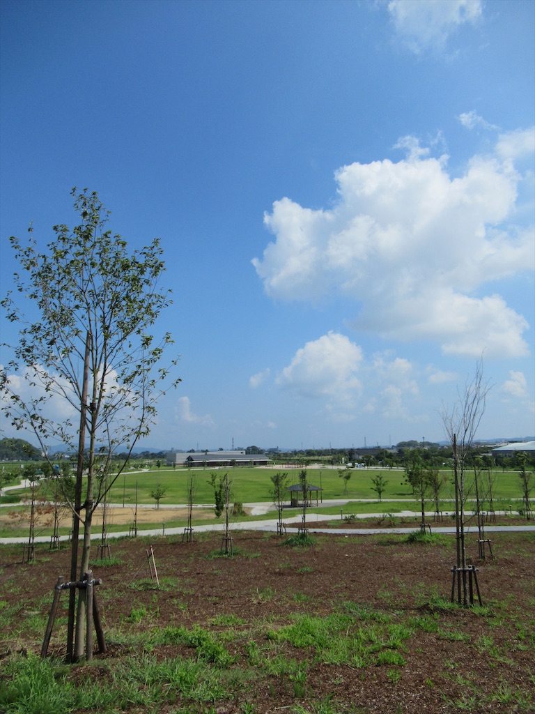 f:id:totetu:20210807201058j:image f:id:totetu:20210807201058j:image