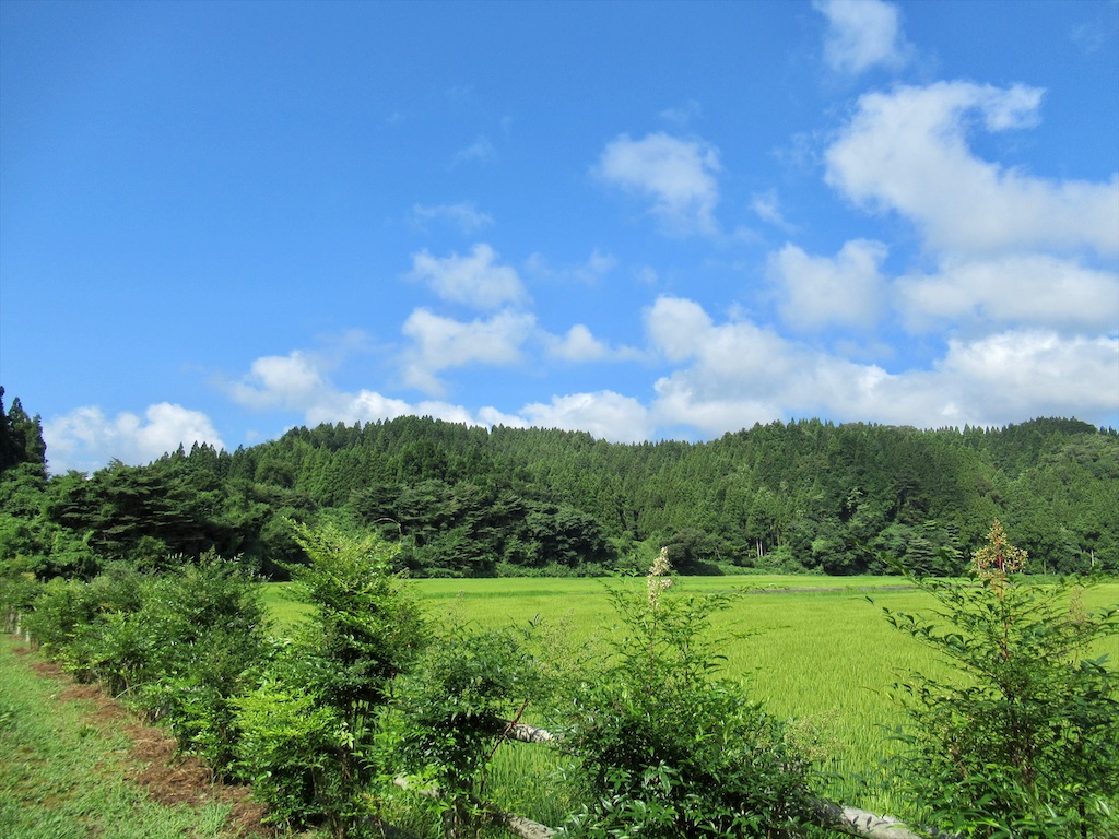 f:id:totetu:20210810084147j:image