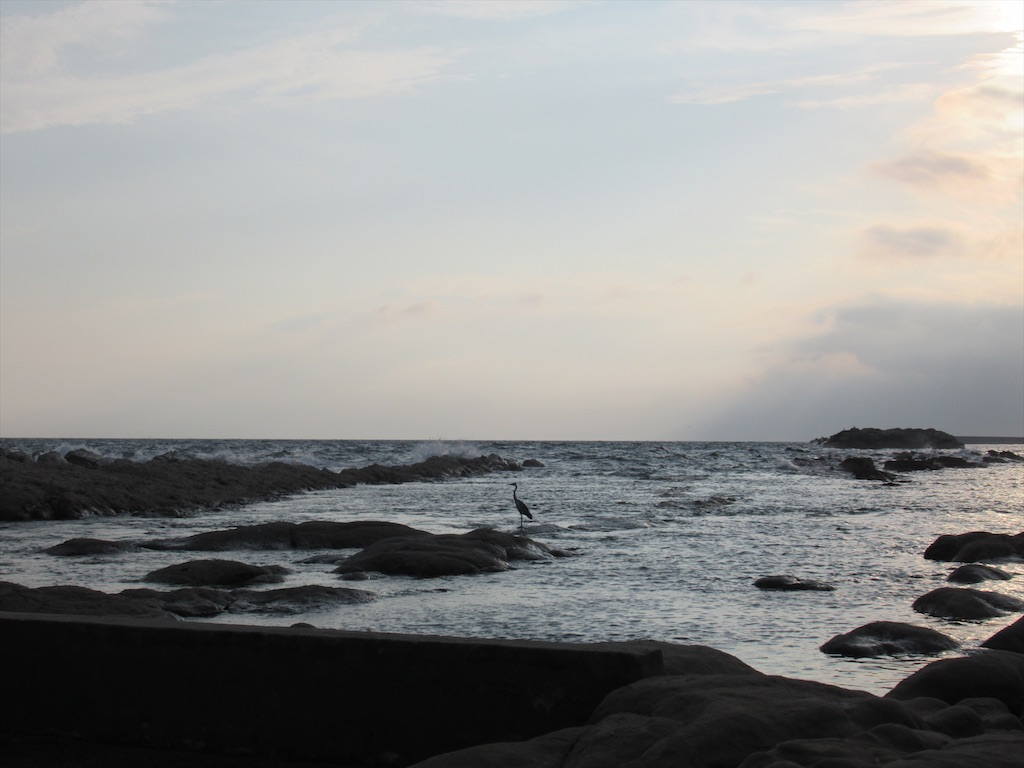 f:id:totetu:20210810090800j:image
