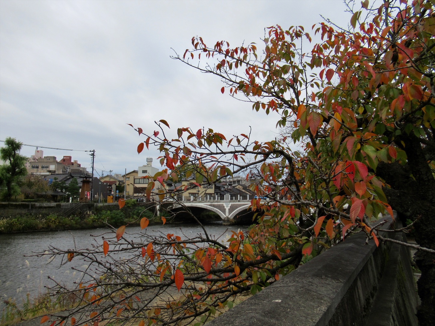 f:id:totetu:20211116201151j:image