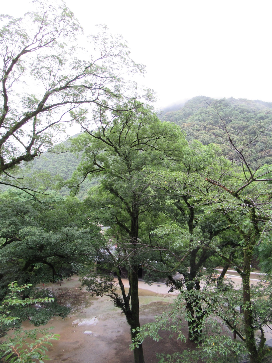 f:id:totetu:20220720204208j:image