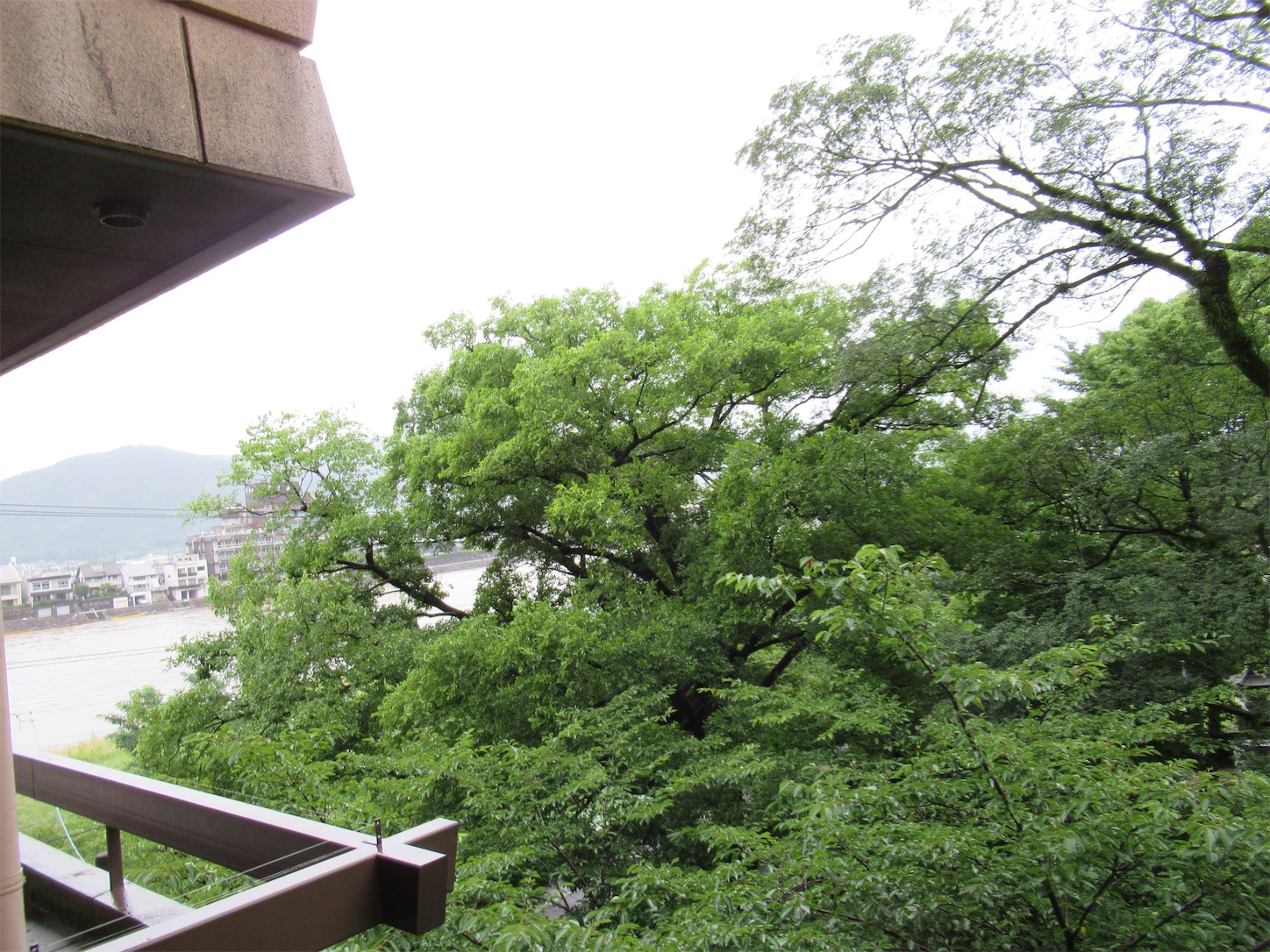 f:id:totetu:20220720204217j:image