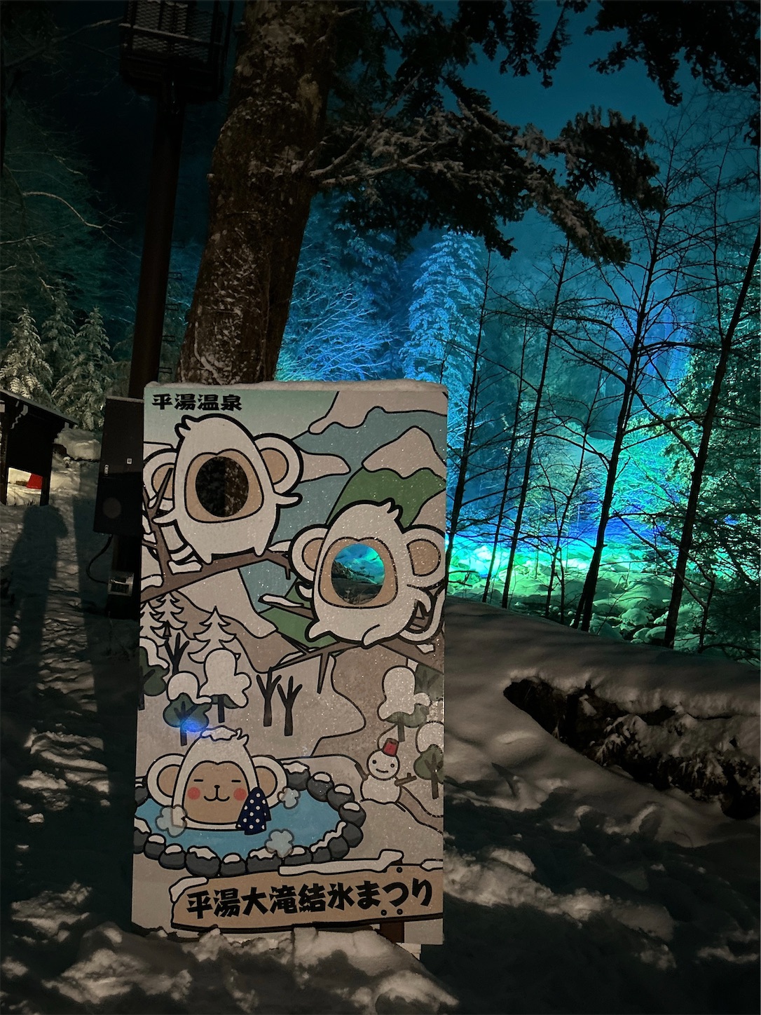 f:id:totetu:20240224190343j:image f:id:totetu:20240224190343j:image