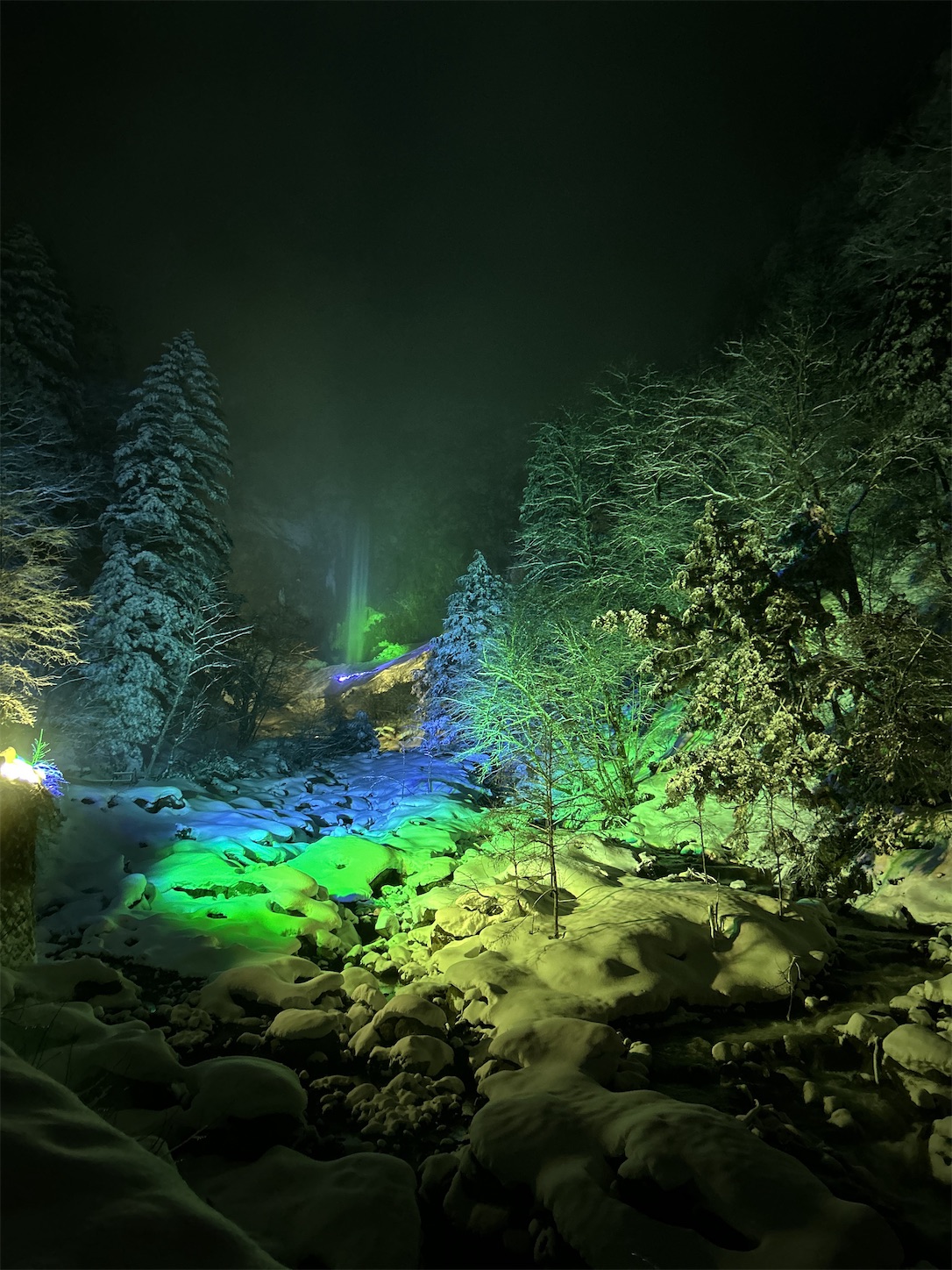 f:id:totetu:20240224190348j:image f:id:totetu:20240224190348j:image