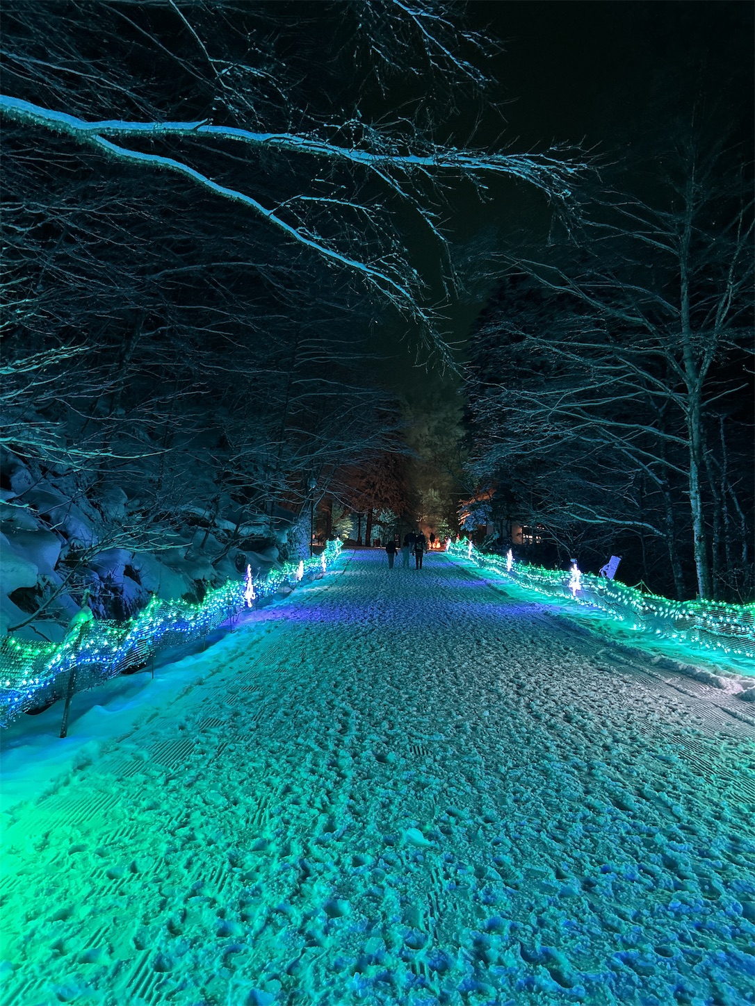 f:id:totetu:20240224190352j:image f:id:totetu:20240224190352j:image