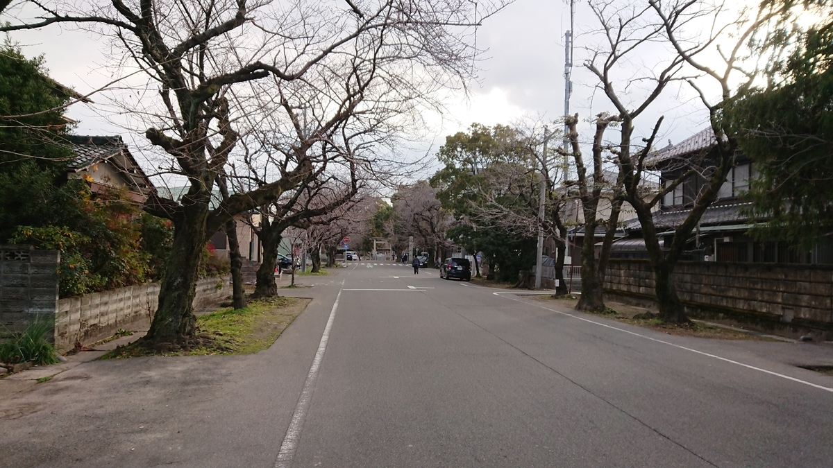 f:id:toto-chan:20200113171735j:plain f:id:toto-chan:20200113171735j:plain